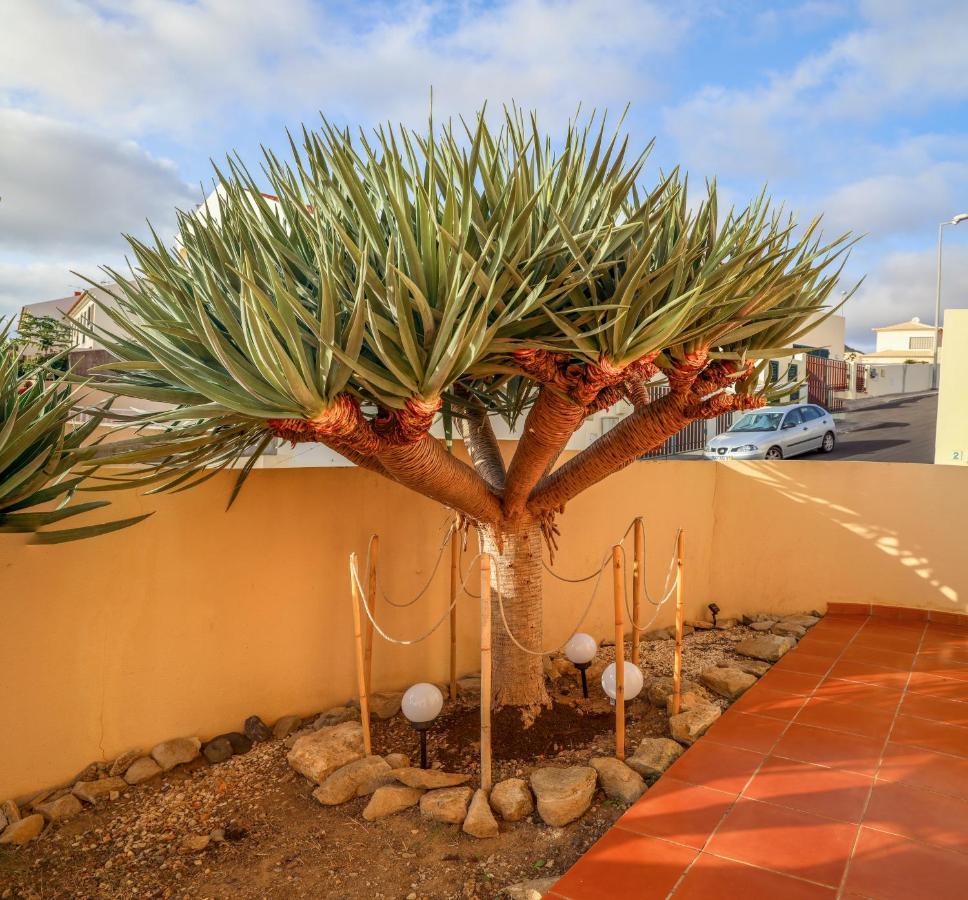 O DRAGOEIRO da Madalena! Porto Santo Exterior foto